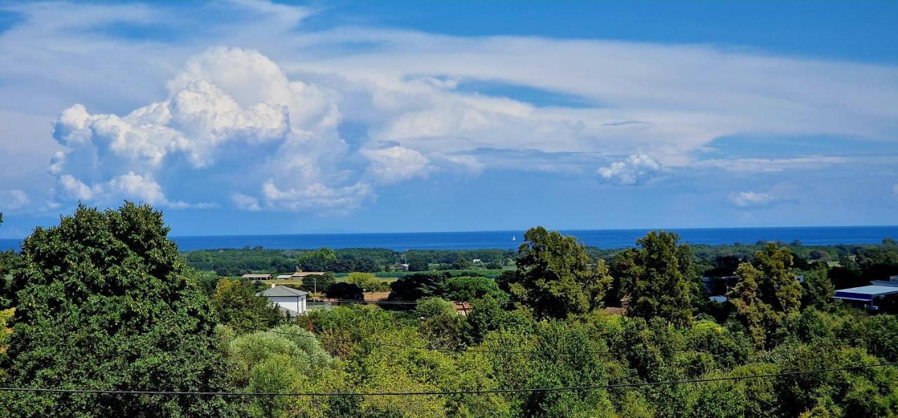 Villa Bistinetti Rez De Villa Tout Confort Avec Piscine Penta di Casinca エクステリア 写真